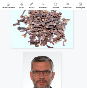 I CHIODI DI GAROFANI, STAVOLTA NON SONO STATI ANTISETTICI