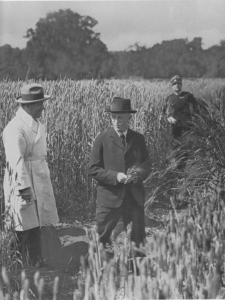 Centenario 1926: la cappa del regime