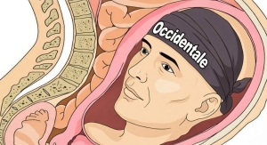 Con la testa nell’utero in affitto