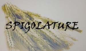 Le spigolature  di Nino Orlandi