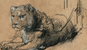 Lo stato dell'arte, focus da 2 a 8 febbraio 2026