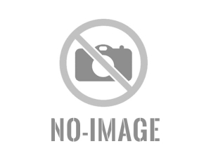 Hamas e dittatori vari, i soliti due pesi e due miusure