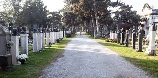 UNIONE EUROPEA, “UN INSIEME RISSOSO CHE BRANCOLA NEL BUIO”