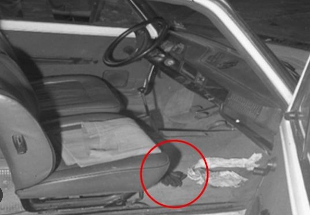 DEL GUANTO SCOMPARSO PARLÒ ROGNONI ALLA CAMERA
