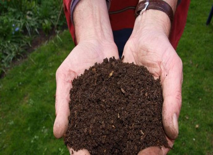 IL COMPOSTAGGIO UMANO: LA MORTE GREEN