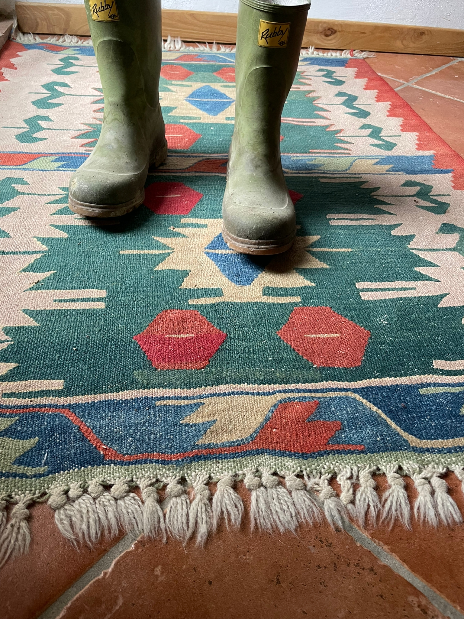 LA RAPPRESENTANZA DEI DISEREDATI