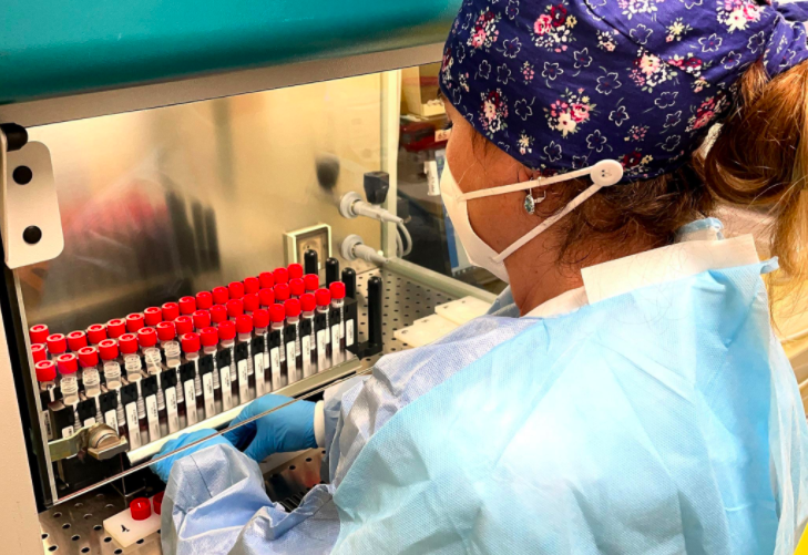 DATI FALSI SULLA PANDEMIA, TRE ARRESTI IN SICILIA