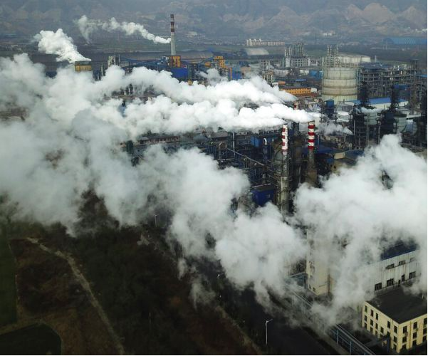 CINA GREEN MA NEL 2060