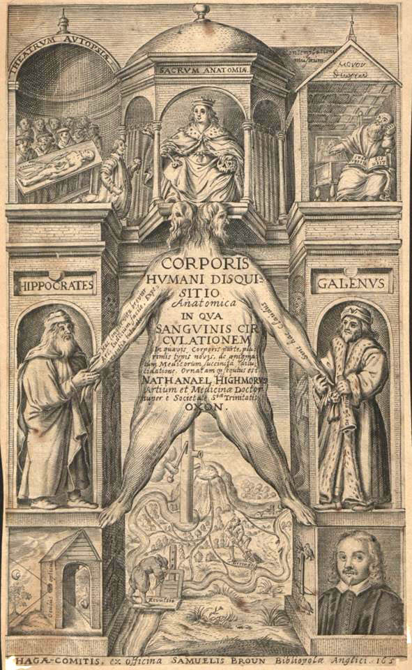 Corporis-Humani-Disquisitio-Anatomica-Highmore-1651