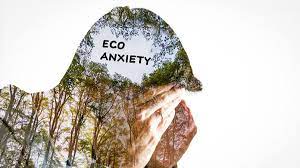 ECOANSIOSI