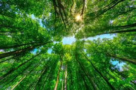 legge_natura