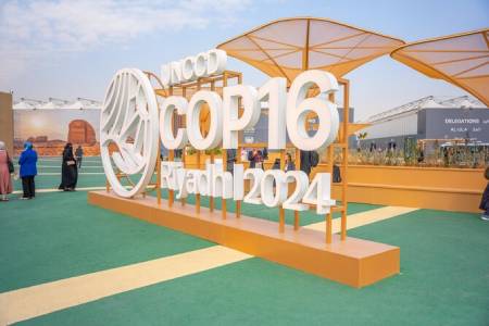Cop16_450
