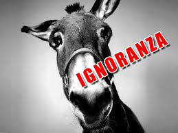 ignoranza