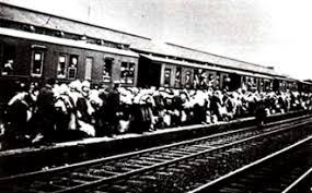treno_della_vergogna