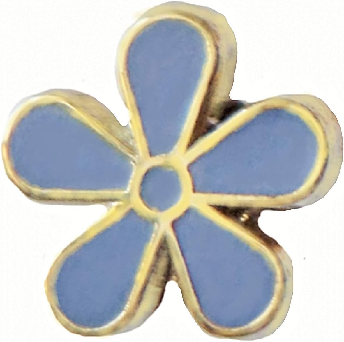 Myosotis