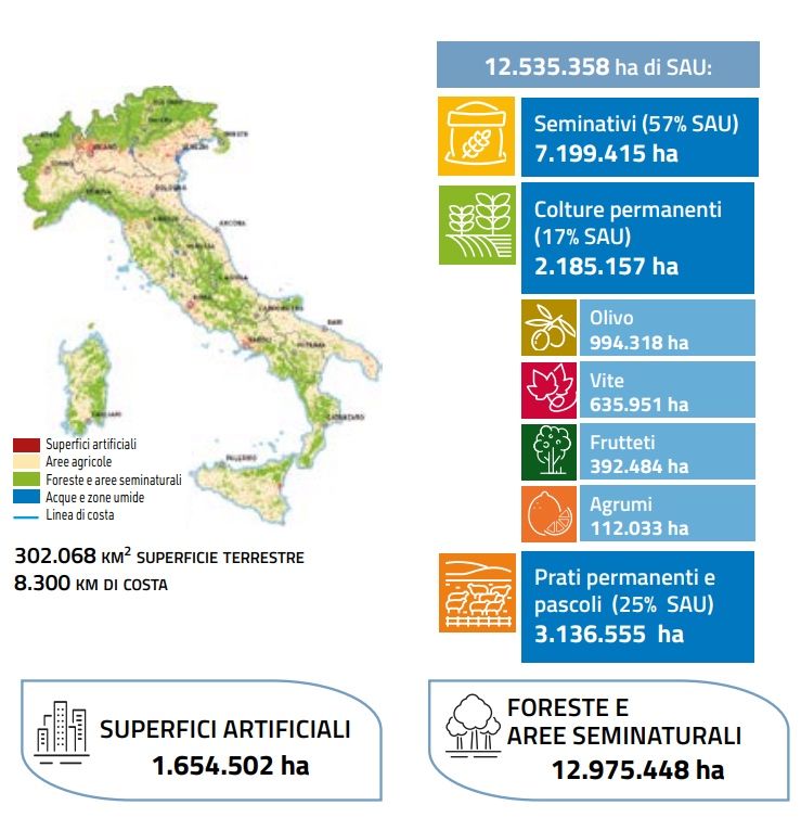 agricoltura_pugliee