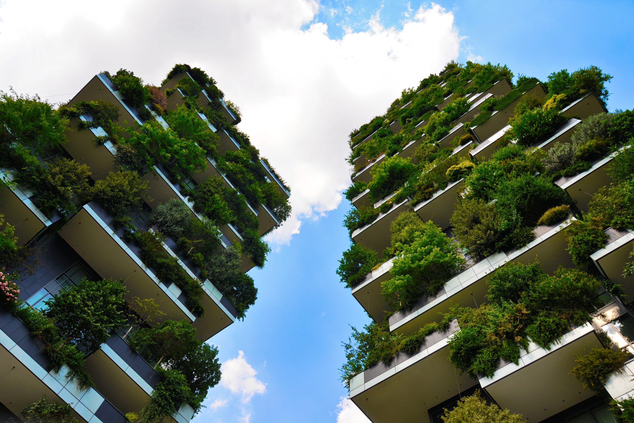 bosco-verticale1-1185783026