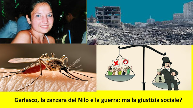 Garlasco_la_zanzara_del_Nilo_e_la_guerra_ma_la_giustizia_sociale