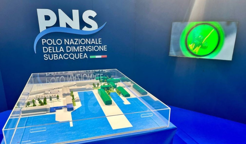 pNS