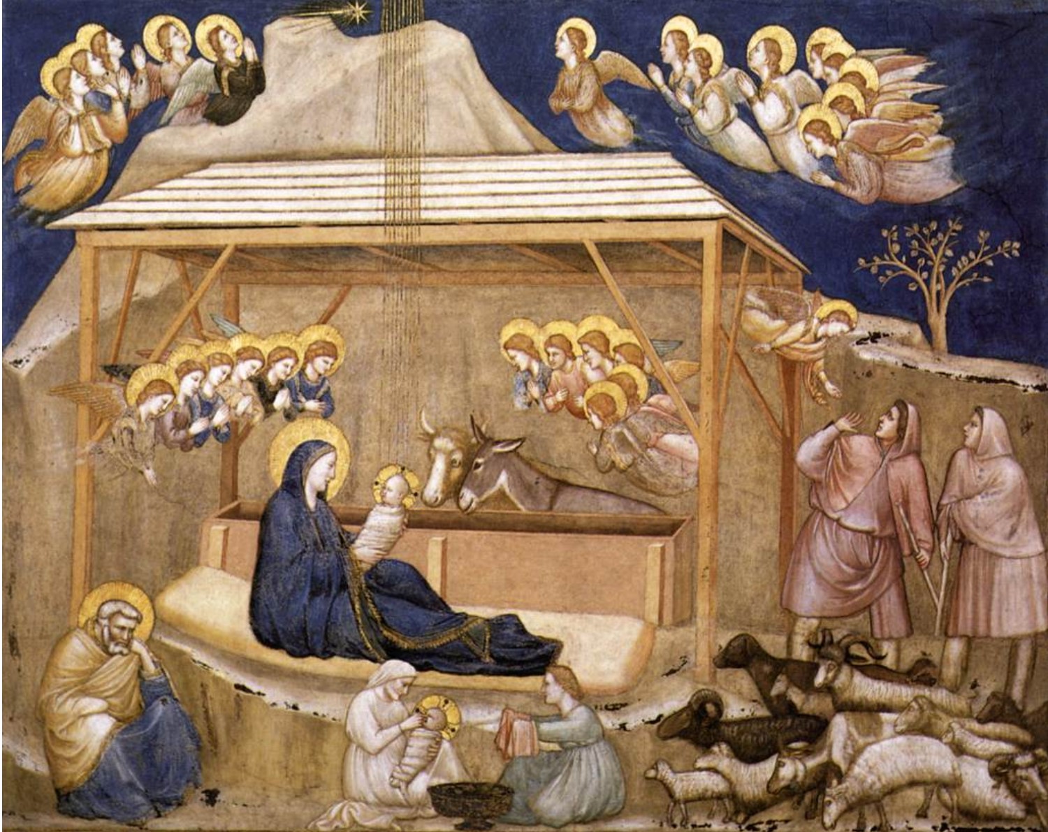 Giotto_Presepe