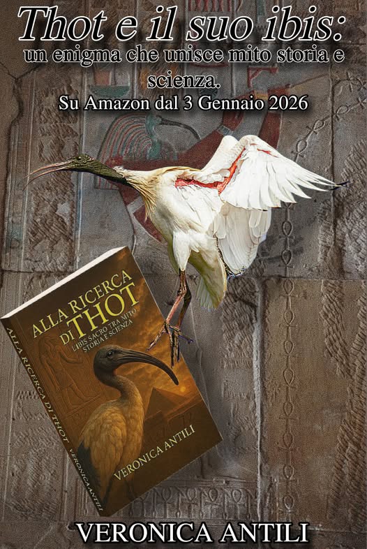 thot_e_il_suo_ibis