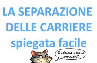 Referendum, una campagna demenziale Referendum, una campagna demenziale