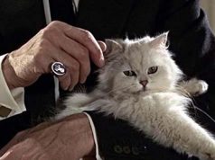 La cupola che comanda i vari Epstein Spectre - cupola