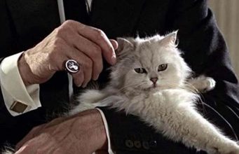 La cupola che comanda i vari Epstein Spectre - cupola