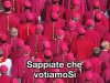 Il Papa dell’ascolto e i Vescovi della propaganda Sappiate che votiamo sì