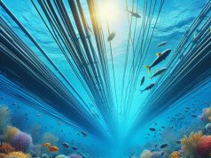 Sotto il mare si decide chi comanda Sotto il mare cavi sottomarini