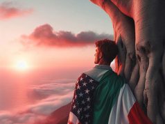 Basi degli Stati Uniti in Italia Stati Uniti - Italia