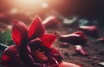 Fa violentare la madre disabile: quando il male è radicale violentare