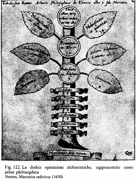 arbor philosophica