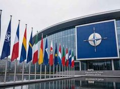 Zaluzhny: la NATO deve reinventarsi NATO