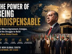 The Power of Being Indispensable Power