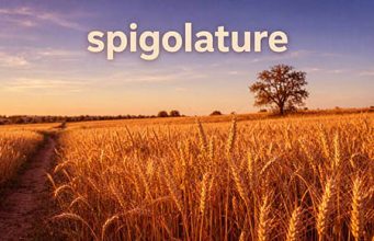 Le spigolature – Il Sánchez che piace ai sinistri spigolature