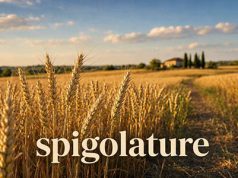 Le spigolature – Le inutili e dannose elucubrazioni della sinistra spigolature