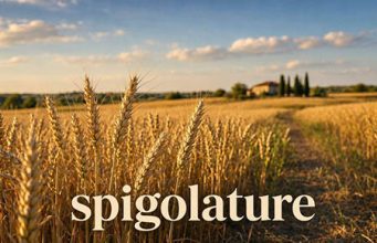 Le spigolature – Le inutili e dannose elucubrazioni della sinistra spigolature