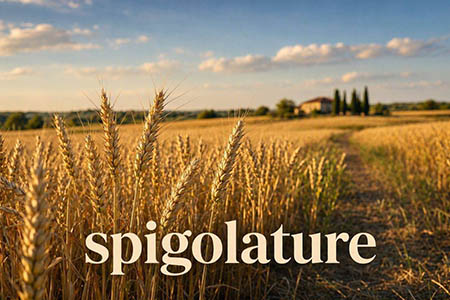 spigolature spigolature