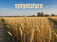 Le spigolature – Una sinistra che proprio non cambia Le spigolature