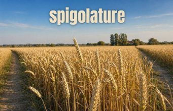 Le spigolature – Una sinistra che proprio non cambia Le spigolature