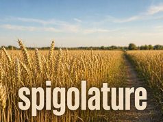 Le spigolature – La deriva dell’Occidente spigolature