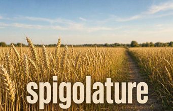 Le spigolature – La deriva dell’Occidente spigolature