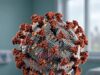 Palù: “Baric si oppose al bando delle manipolazioni sui Coronavirus” Coronavirus