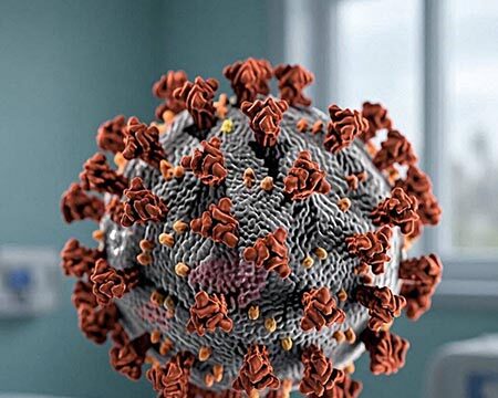 Palù: “Baric si oppose al bando delle manipolazioni sui Coronavirus” Coronavirus