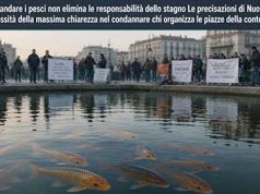 Non comandare i pesci non elimina le responsabilità dello stagno responsabilità dello stagno