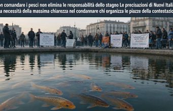 Non comandare i pesci non elimina le responsabilità dello stagno responsabilità dello stagno